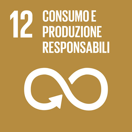 12 - Consumo e produzione responsabili